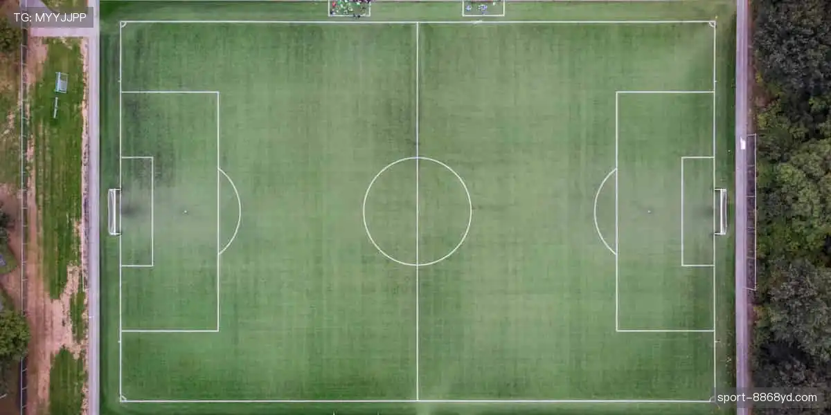 💻【直播平台】实时弹幕互动，你不是一个人在观赛！